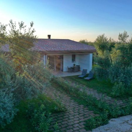산니칸드로디바리 I Secolari B&B 외부 사진