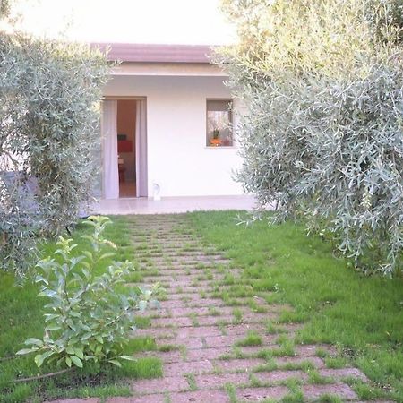 산니칸드로디바리 I Secolari B&B 외부 사진